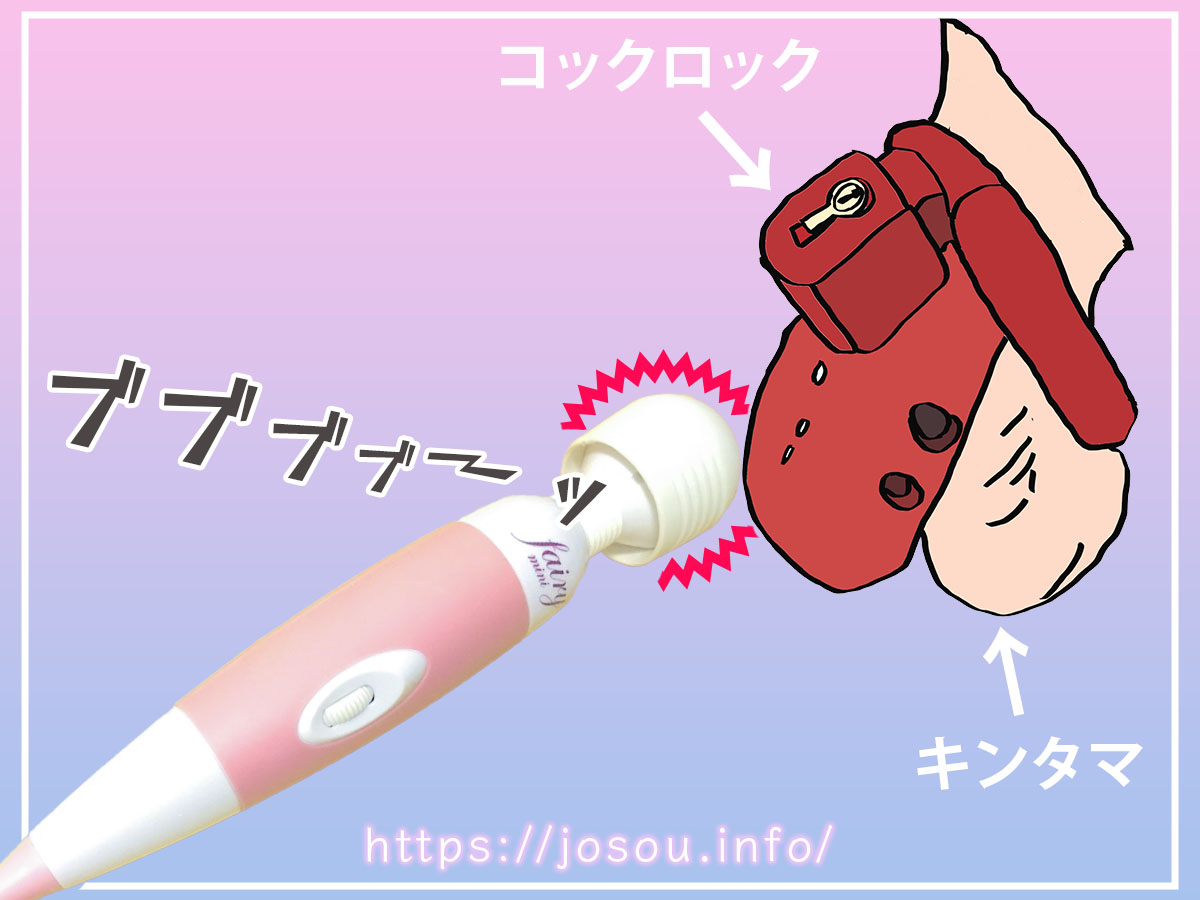 貞操帯（コックロック）と電マを組み合わせるのもオススメ！