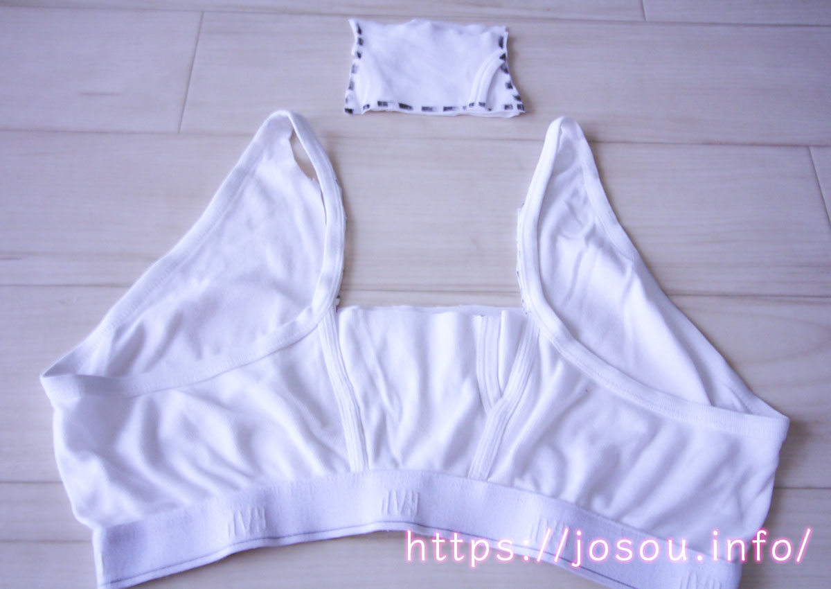 ブリーフ・ブラジャーをさらに切り取った写真