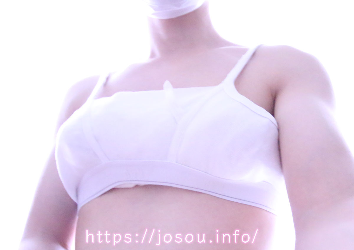 ブリーフ・ブラジャー改良版での疑似おっぱいを仕込んだ女装姿