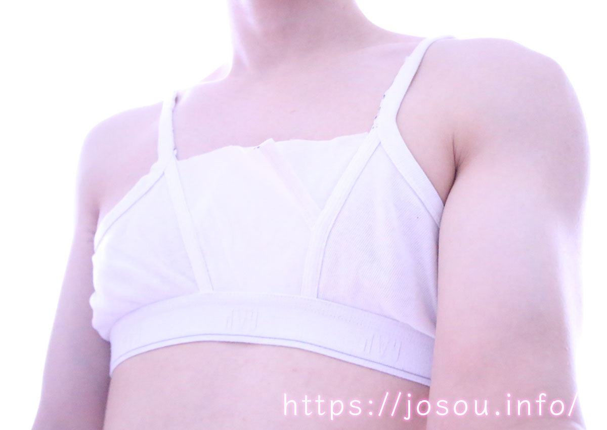 ブリーフ・ブラジャー改良版を着用している女装姿