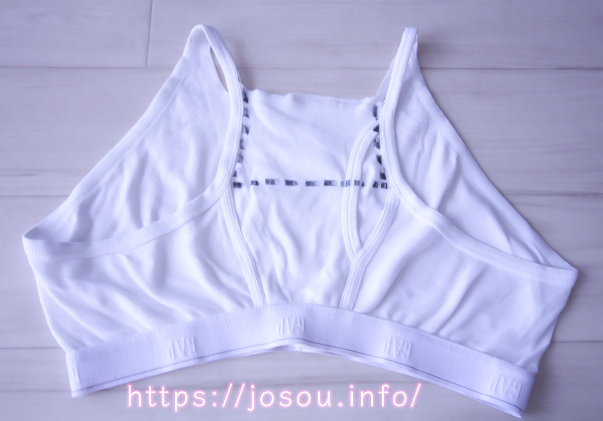 ブリーフ・ブラジャーの改良版の切れ目