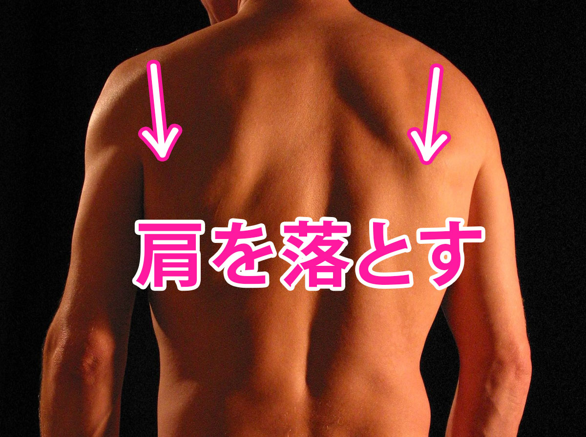 肩幅を狭く見せる肩の使い方