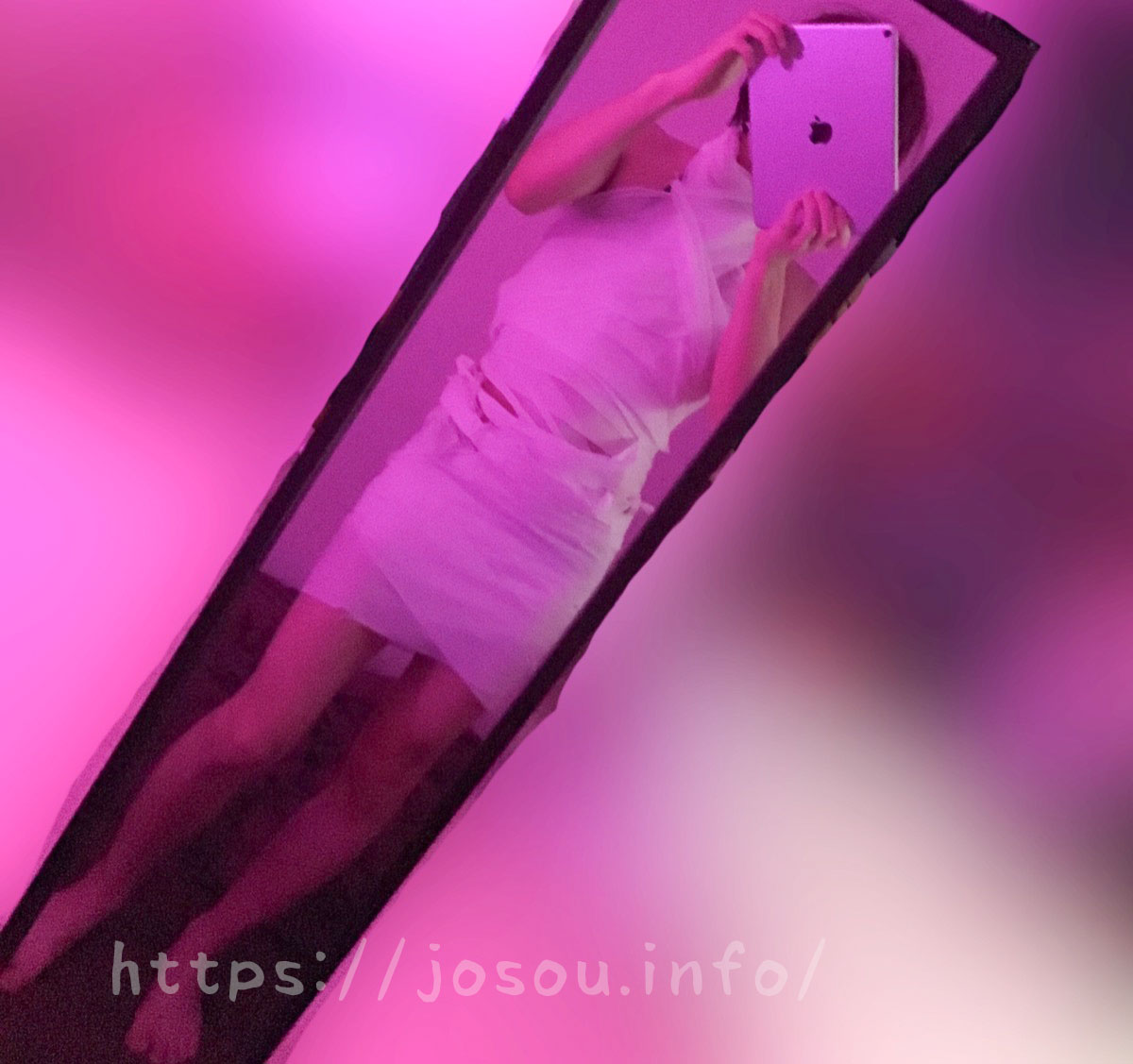 トイレットペーパードレス試着画像