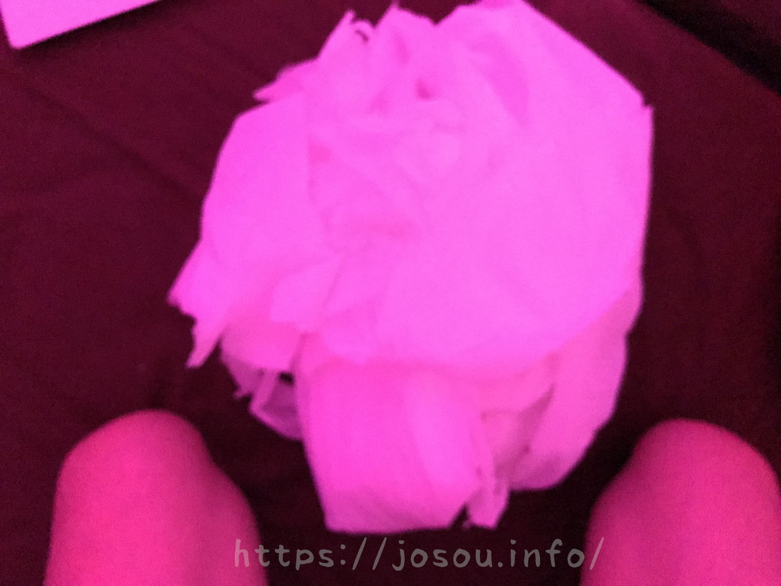 トイレットペーパーを丸めて精子の受け紙に使っている様子