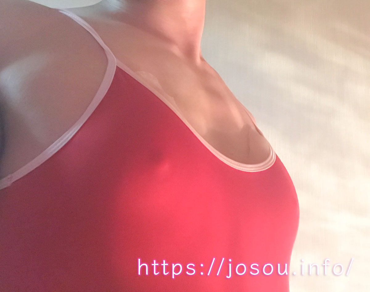 粘着式の貼り付け型オッパイのセクシーな胸の膨らみ