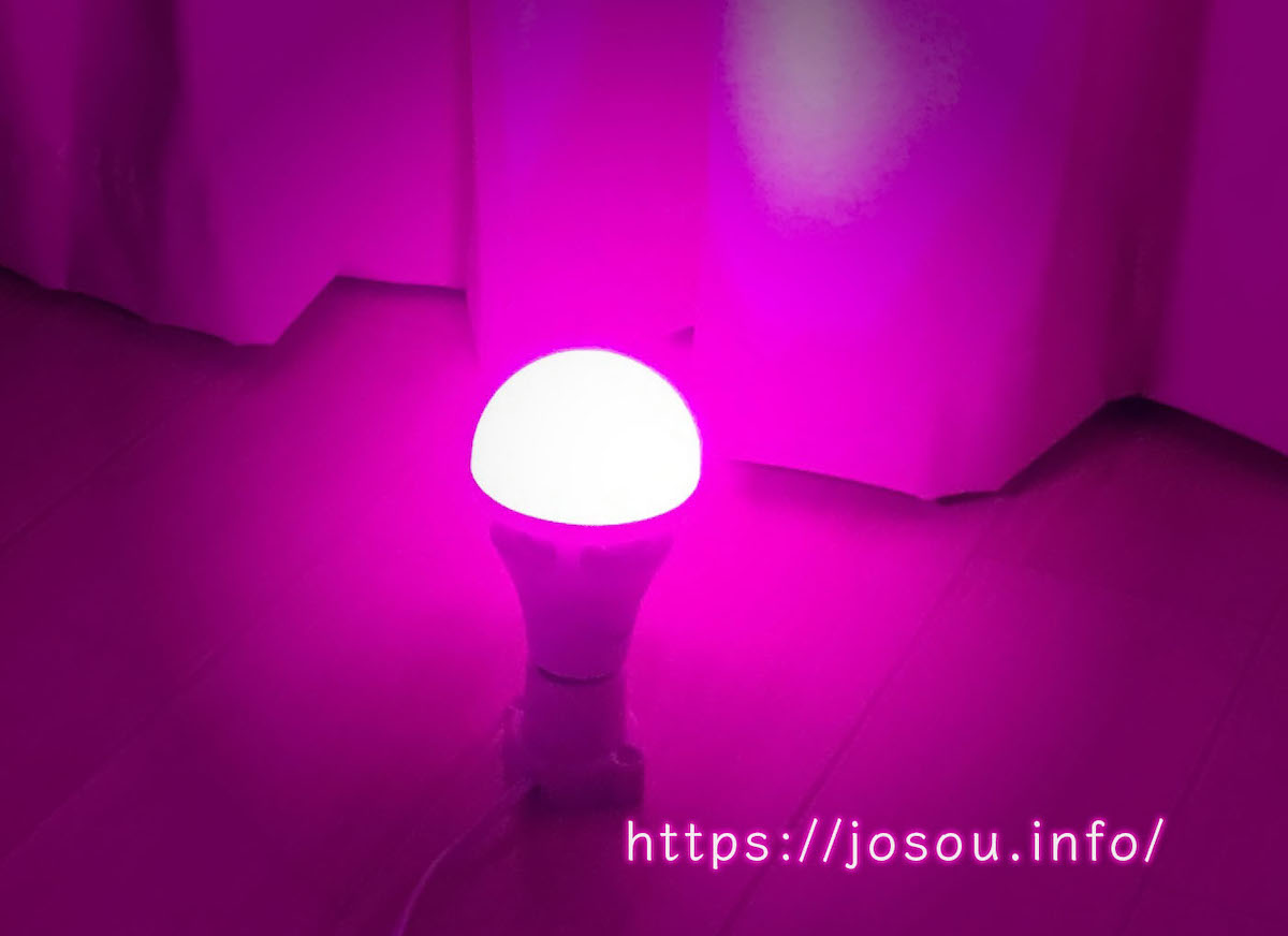 美肌効果のあるピンク色のLED電球