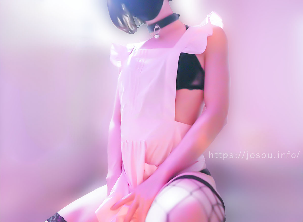 ランジェリーの上にエプロン姿の男の娘・女装子